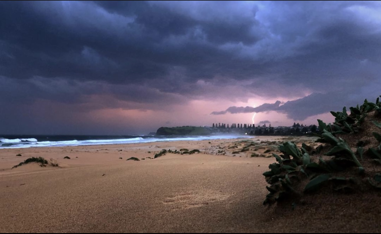 Gallery photograph 37