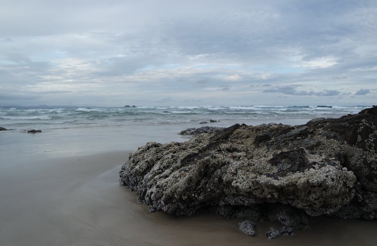 Gallery photograph 38